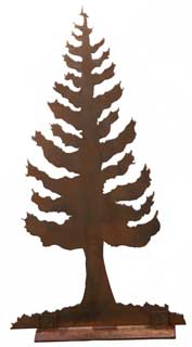 April 2019
                  Redwood Trees