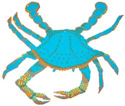 Blue Crab June 2022